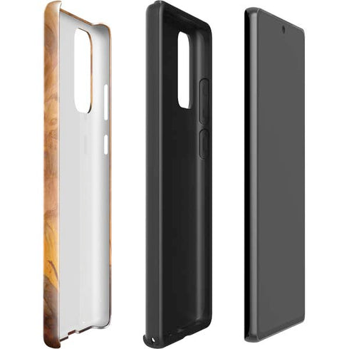 Frazetta Barbarian Galaxy Note20 5G Pro Case